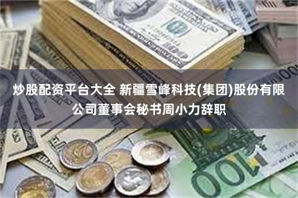 炒股配资平台大全 新疆雪峰科技(集团)股份有限公司董事会秘书周小力辞职