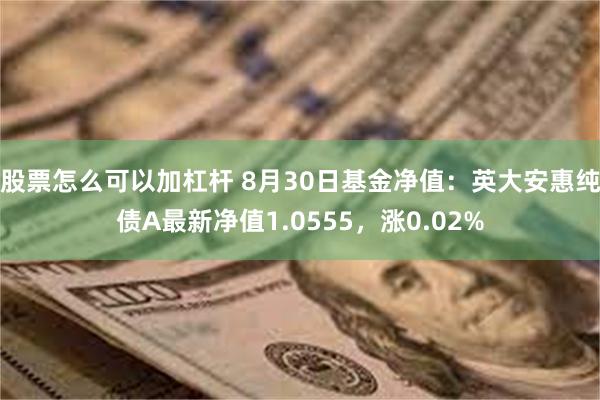 股票怎么可以加杠杆 8月30日基金净值：英大安惠纯债A最新净值1.0555，涨0.02%