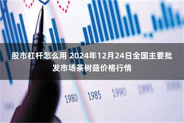 股市杠杆怎么用 2024年12月24日全国主要批发市场茶树菇价格行情