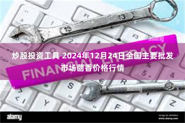 炒股投资工具 2024年12月24日全国主要批发市场茴香价格行情