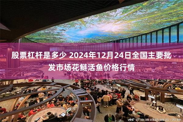 股票杠杆是多少 2024年12月24日全国主要批发市场花鲢活鱼价格行情