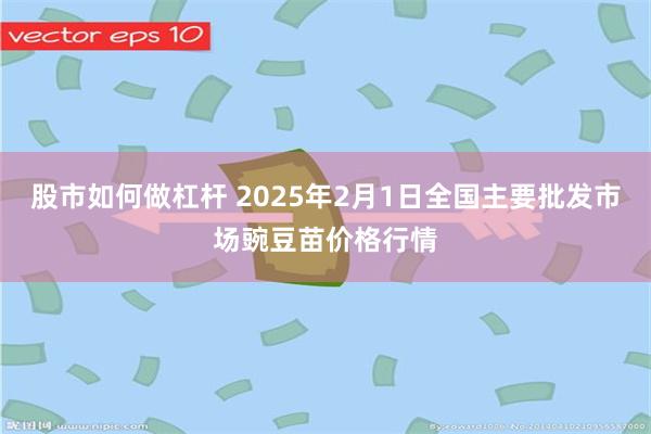 股市如何做杠杆 2025年2月1日全国主要批发市场豌豆苗价格行情