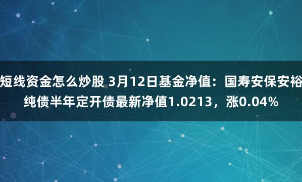 短线资金怎么炒股 3月12日基金净值：国寿安保安裕纯债半年定开债最新净值1.0213，涨0.04%